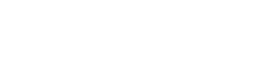 WhiteKong Software